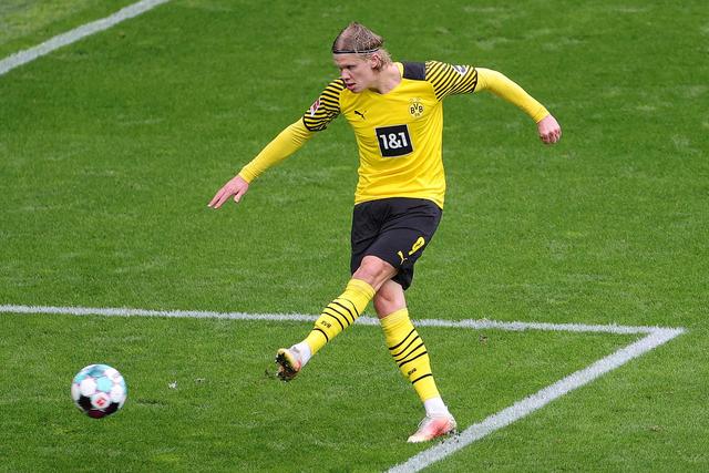 可以预见 可以预见